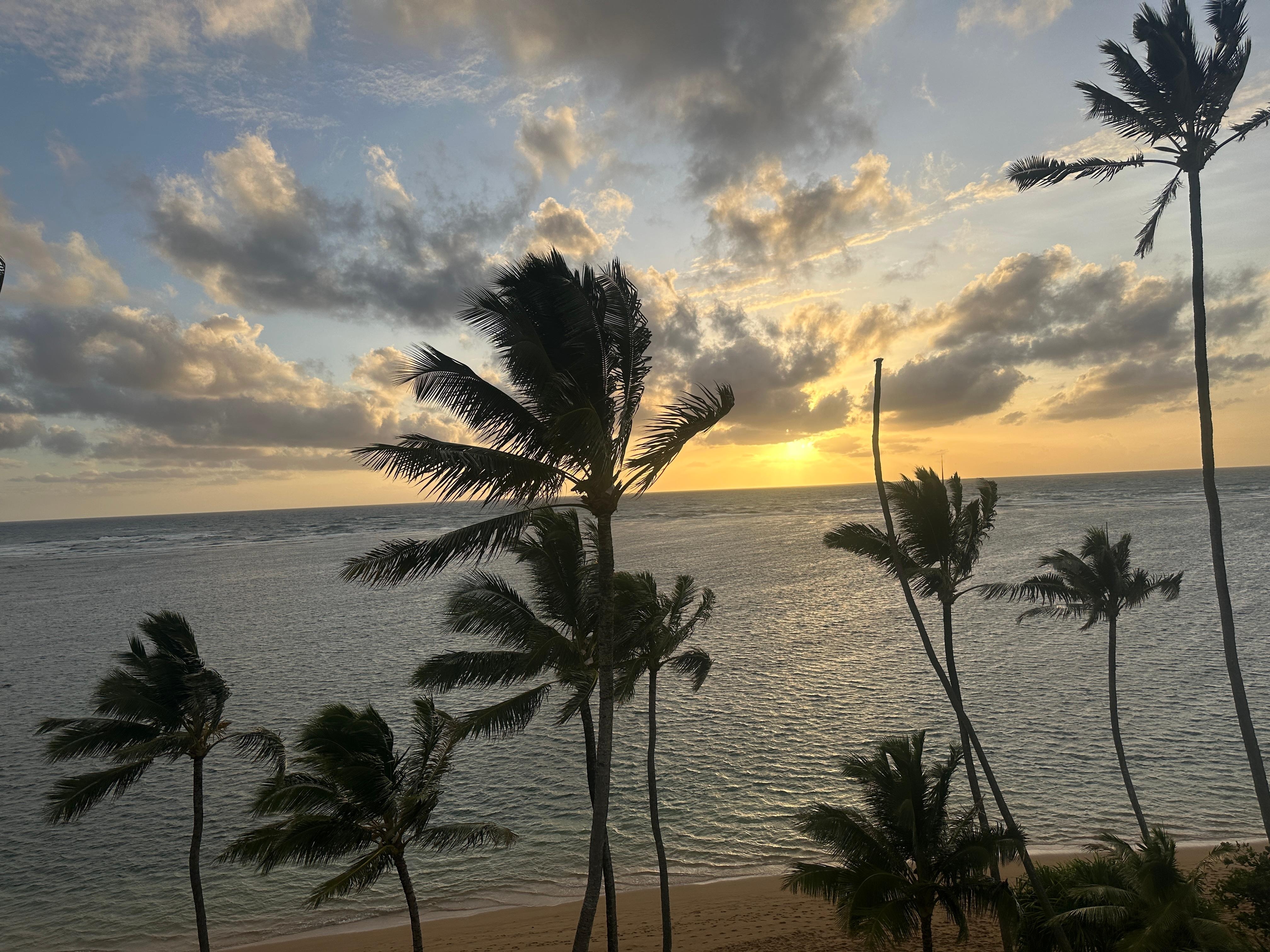 Morning view from condo sliding door