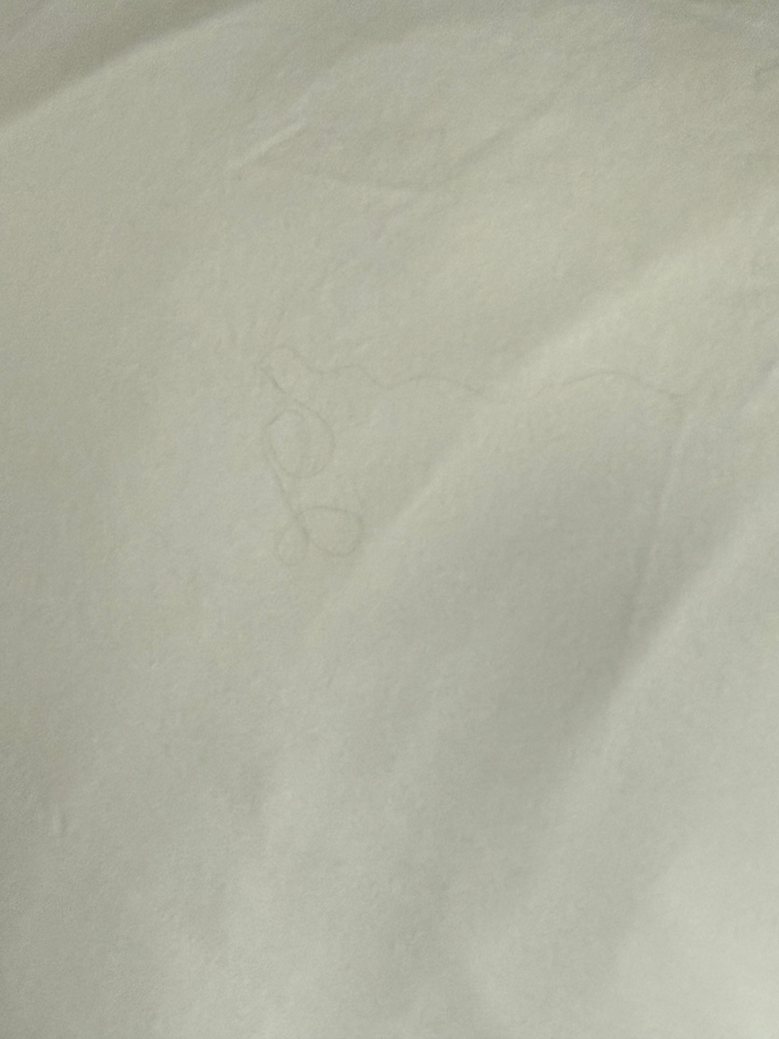 A hair on the pillow
