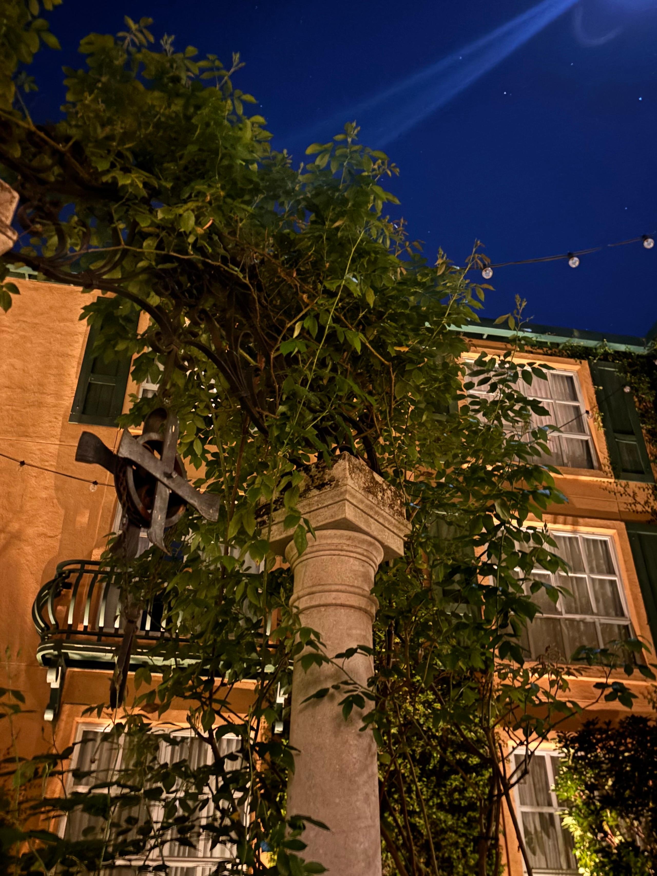 The wishing well terrace. 