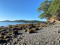 The beach at the house