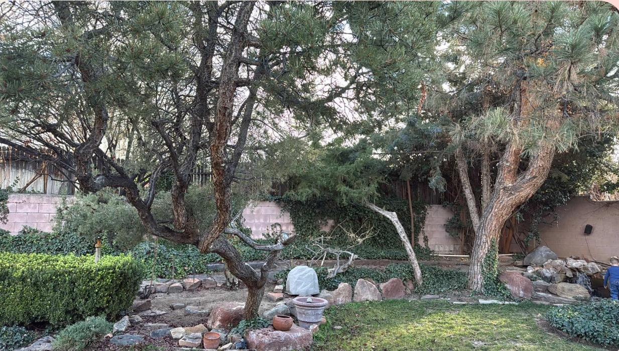 Rear courtyard was perfect for morning coffee and just relaxing 