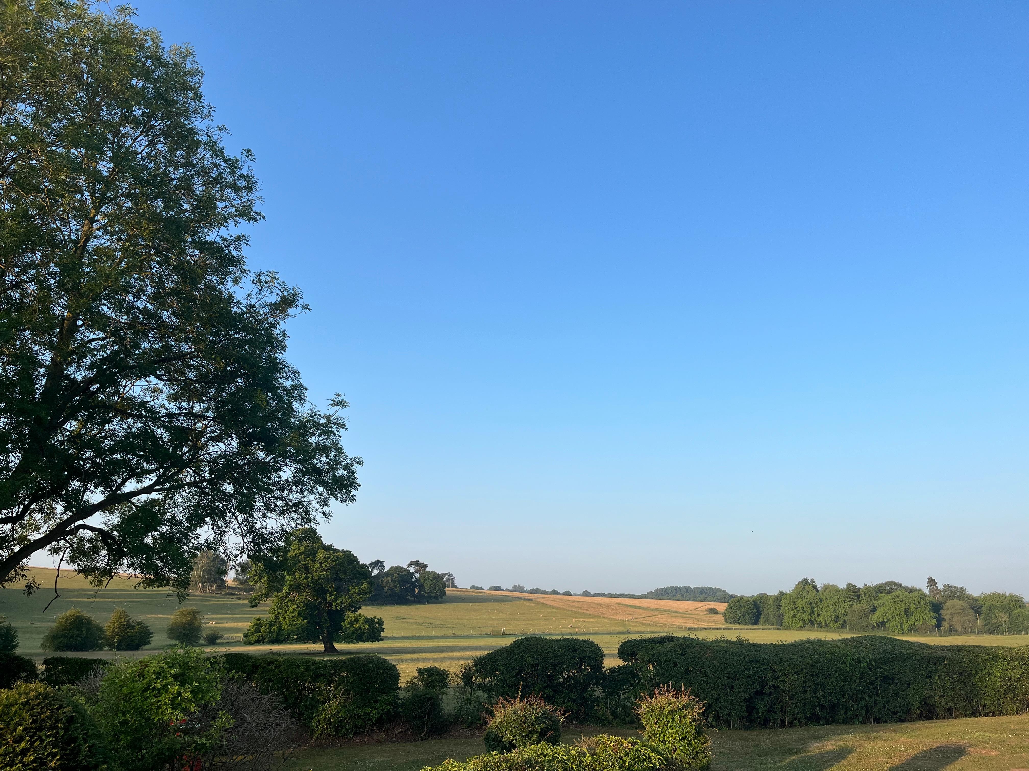 Lovely setting