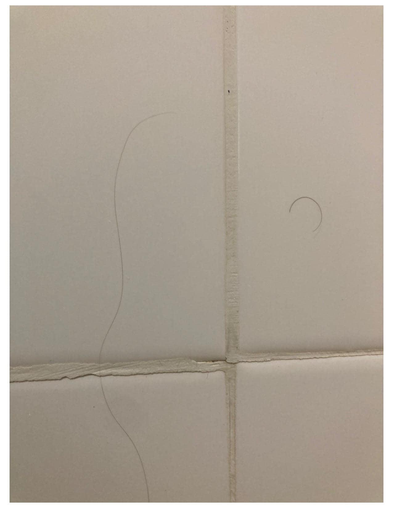 Hair on shower wall