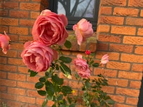 Outside the apartment