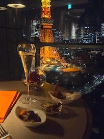 Premier club looking out on tokyo tower