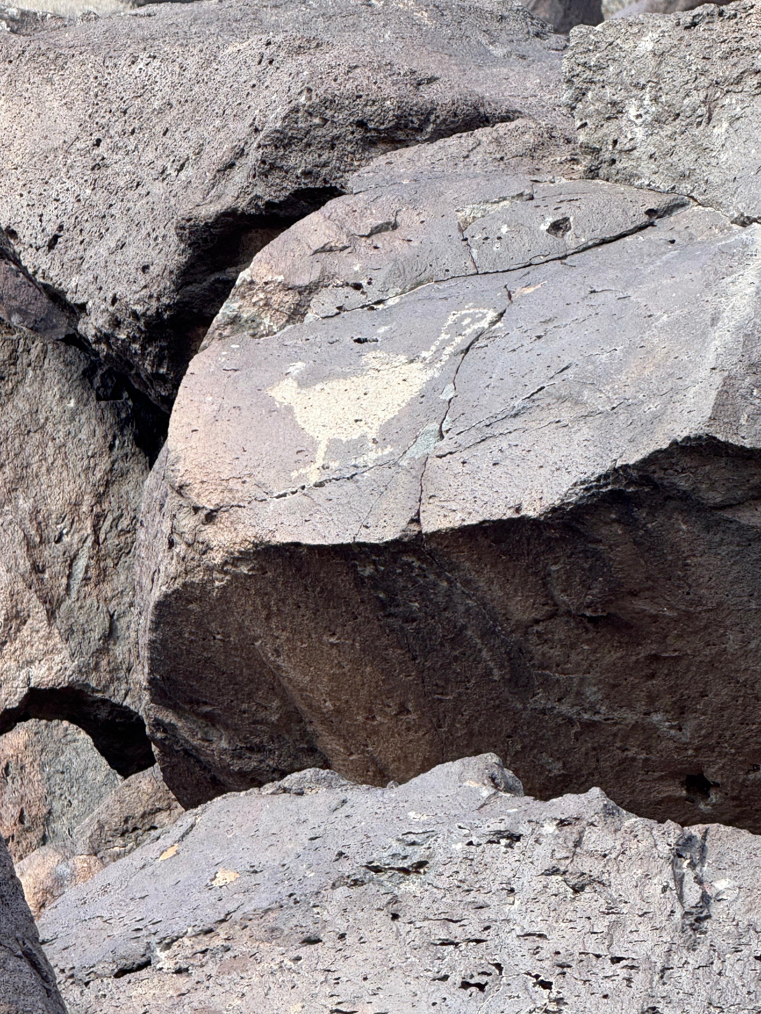 Petroglyphs Trail was amazing 