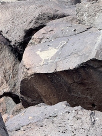 Petroglyphs Trail was amazing