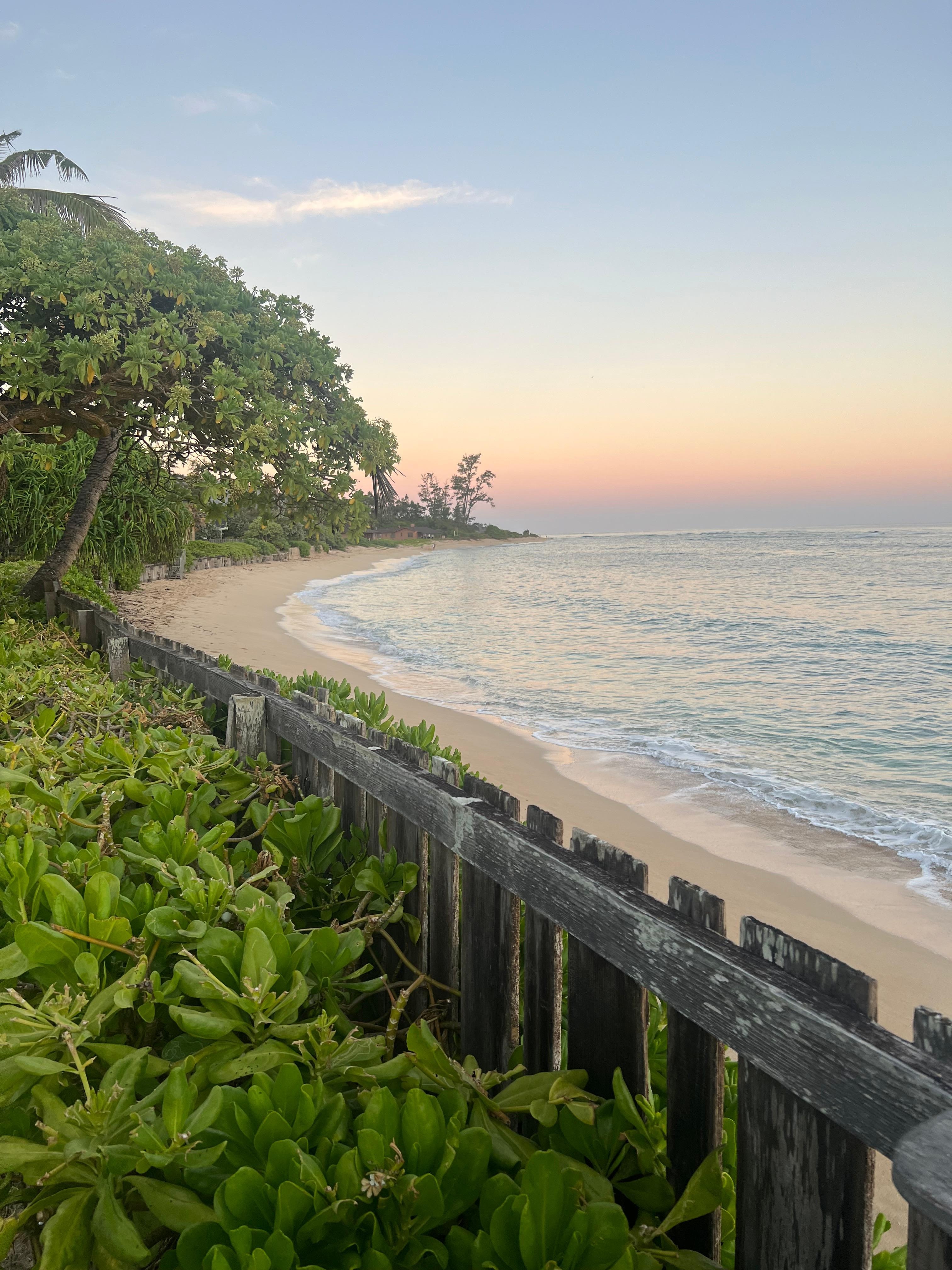 Morning view from the house