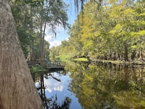 The view from back yard