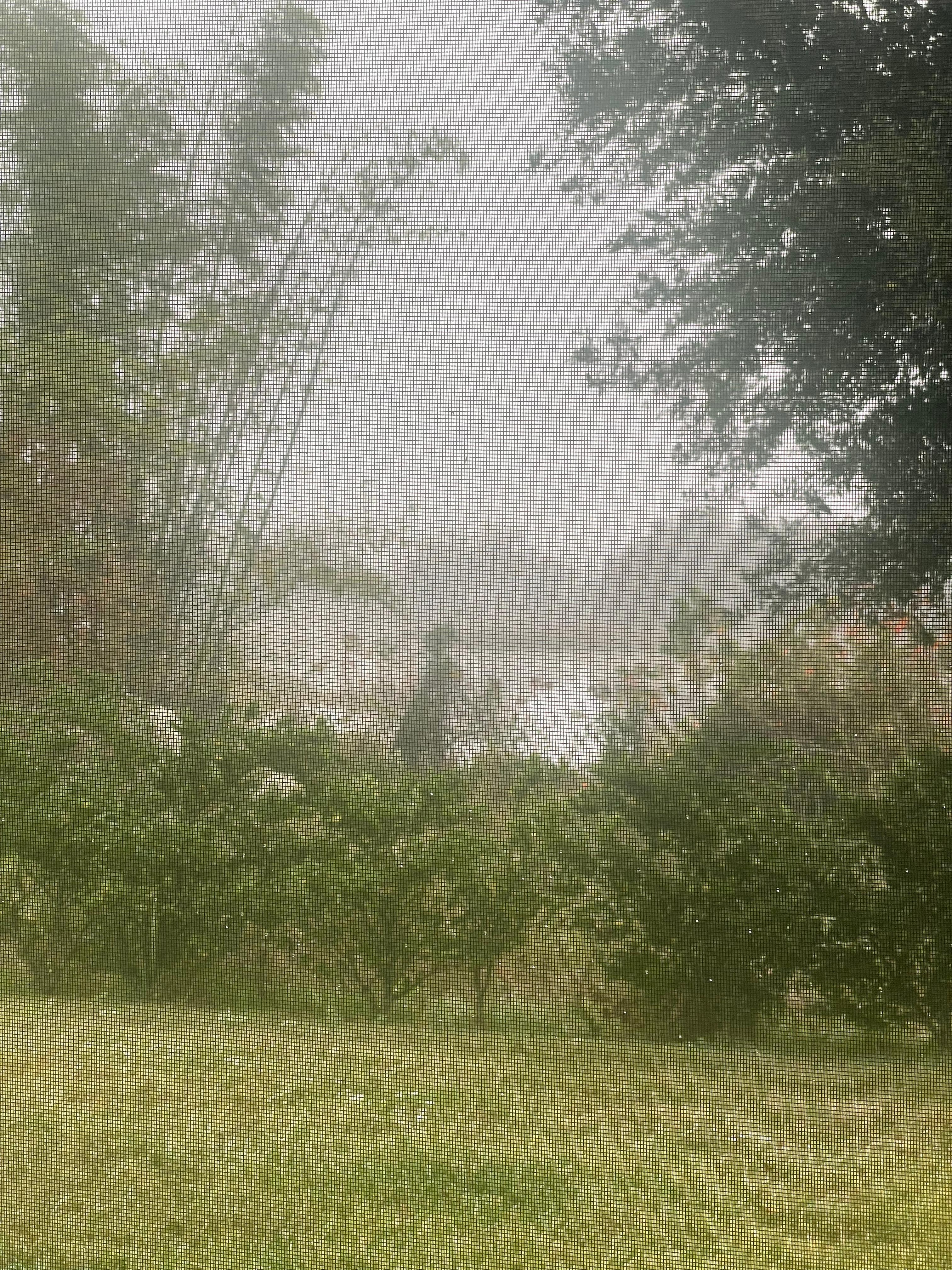 Quiet morning view as fog lifted. 