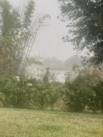 Quiet morning view as fog lifted.