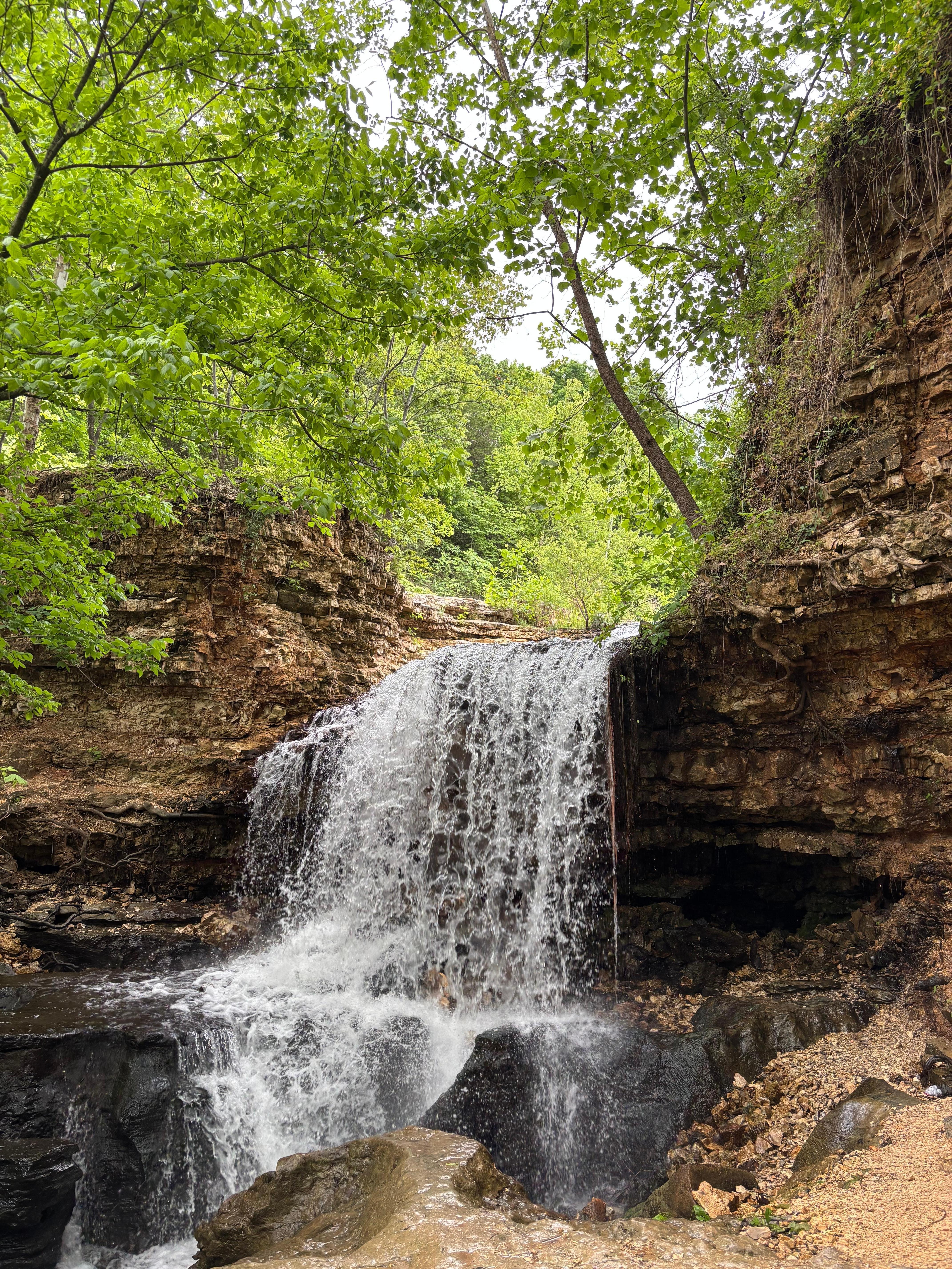 Tanyard Falls
Less than 10 minutes from the property.