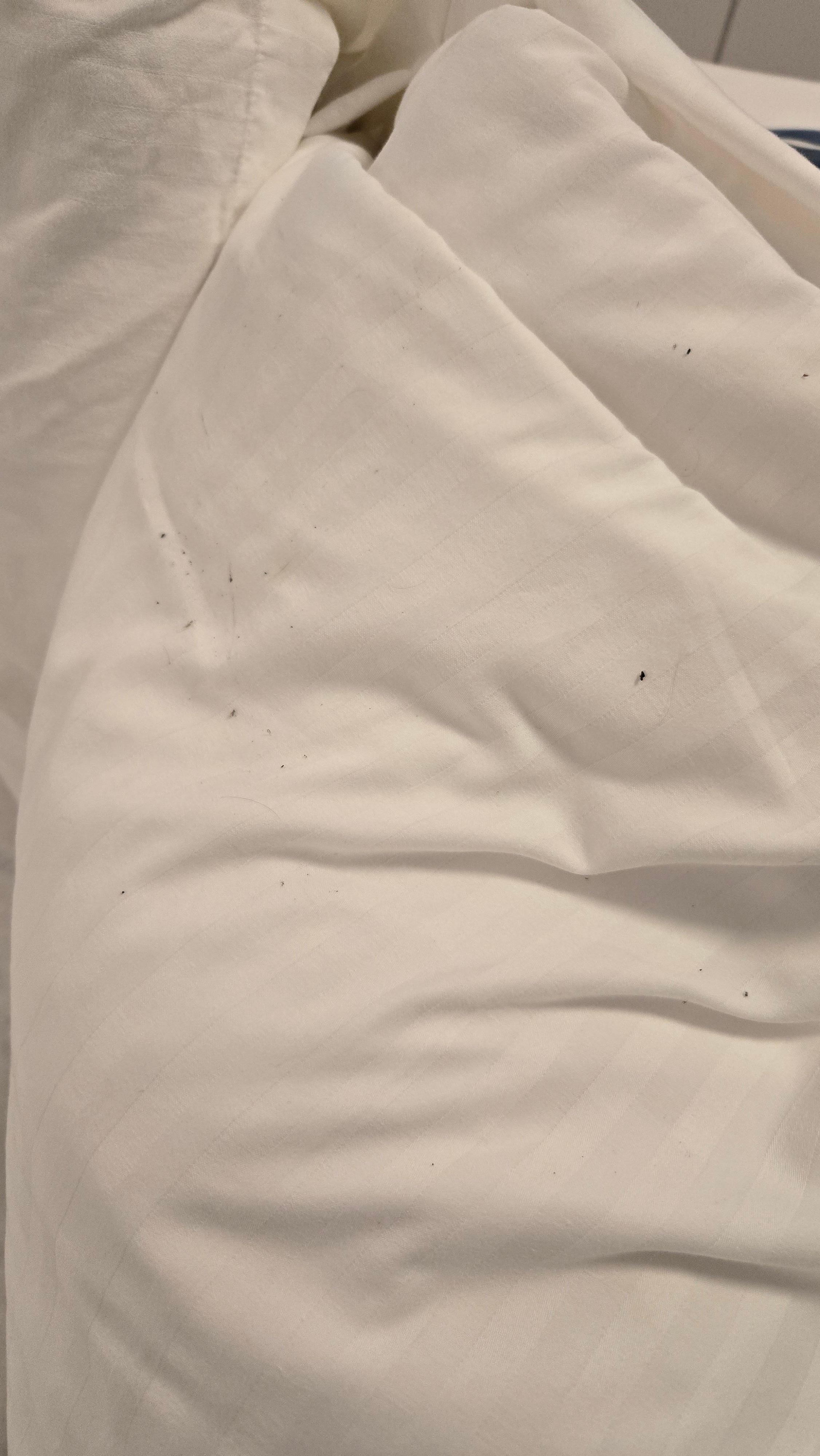 Someone else hair on the pillows