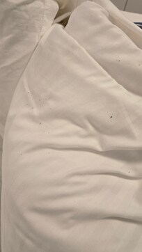 Someone else hair on the pillows