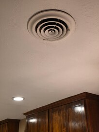 Mold in kitchen vent