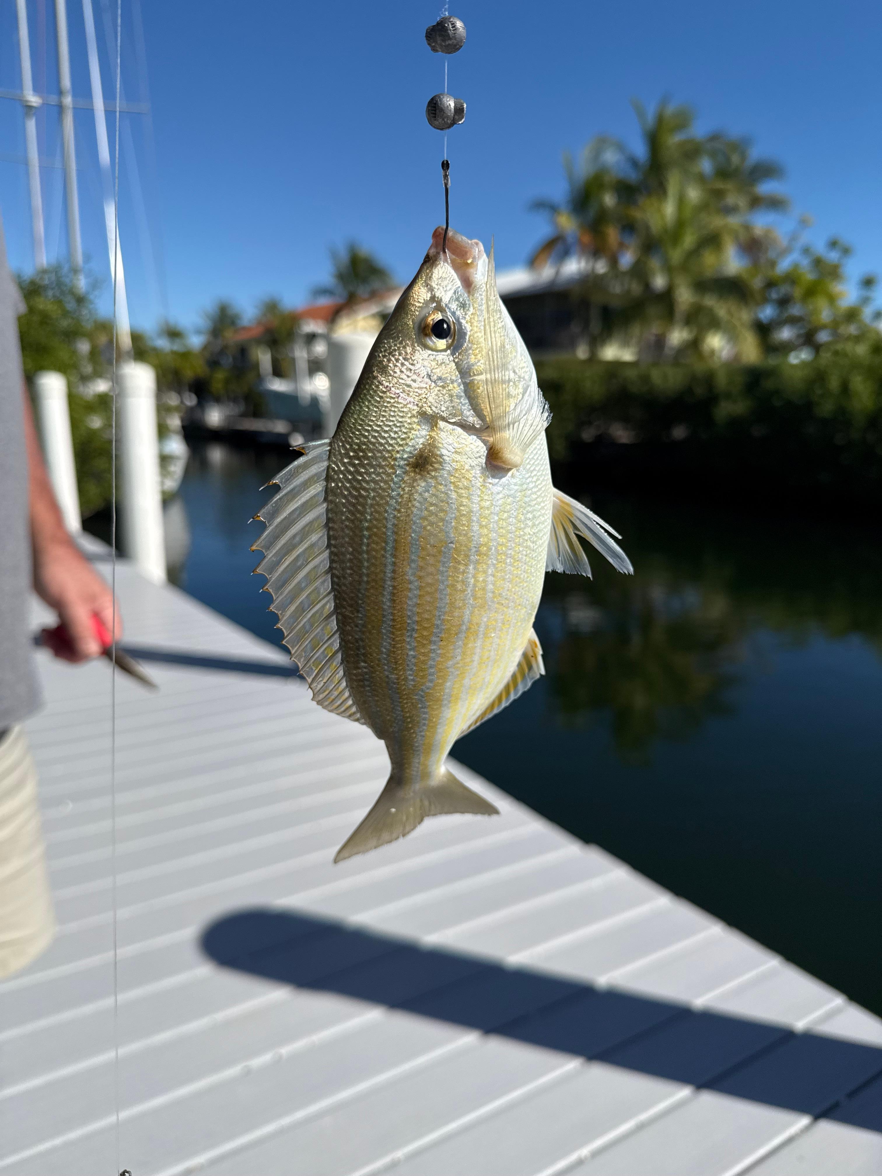 Fun fishing off the dock