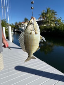 Fun fishing off the dock
