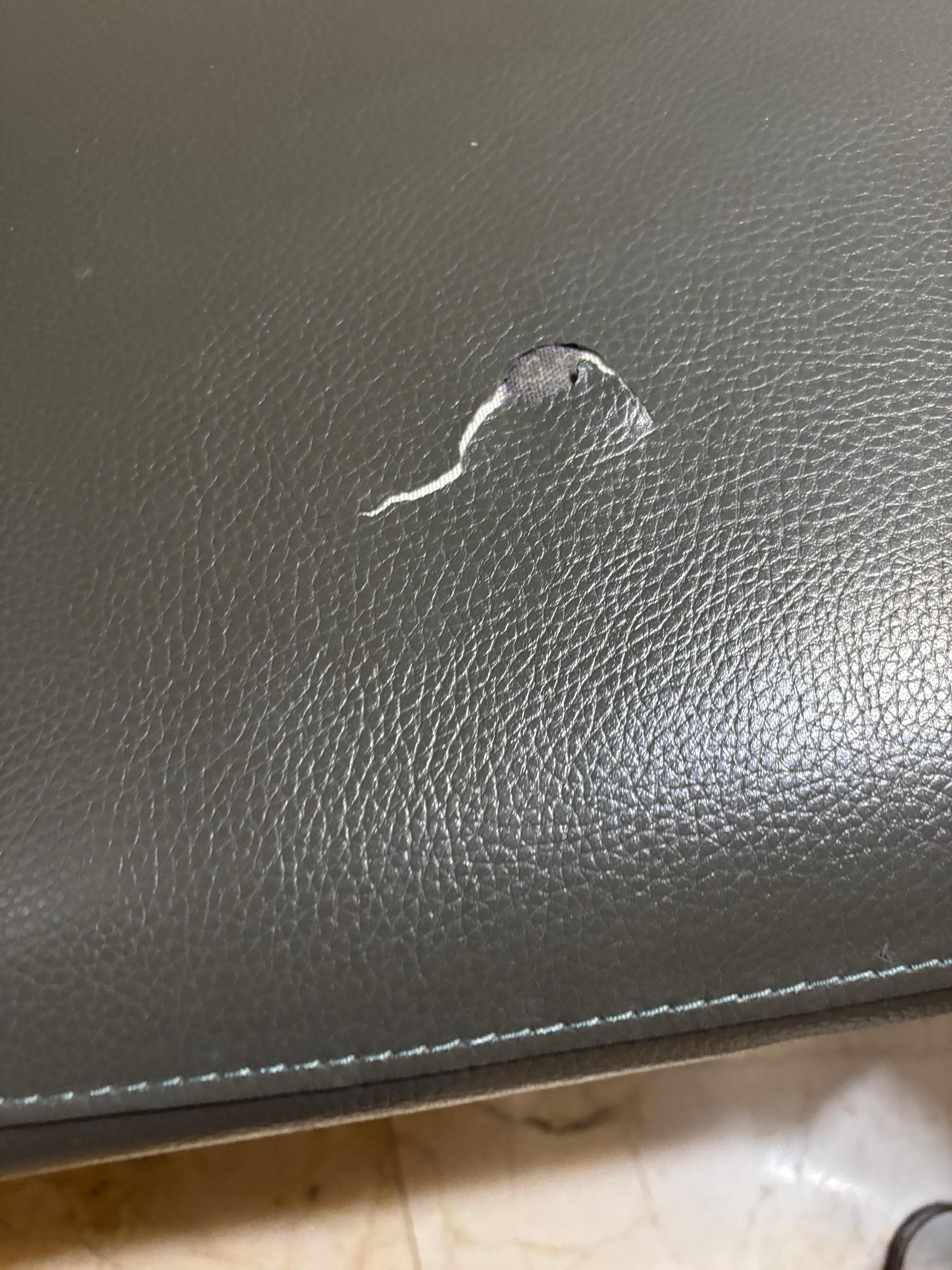 Ripped chairs in dining room