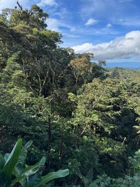 View from Junior vista suite balcony