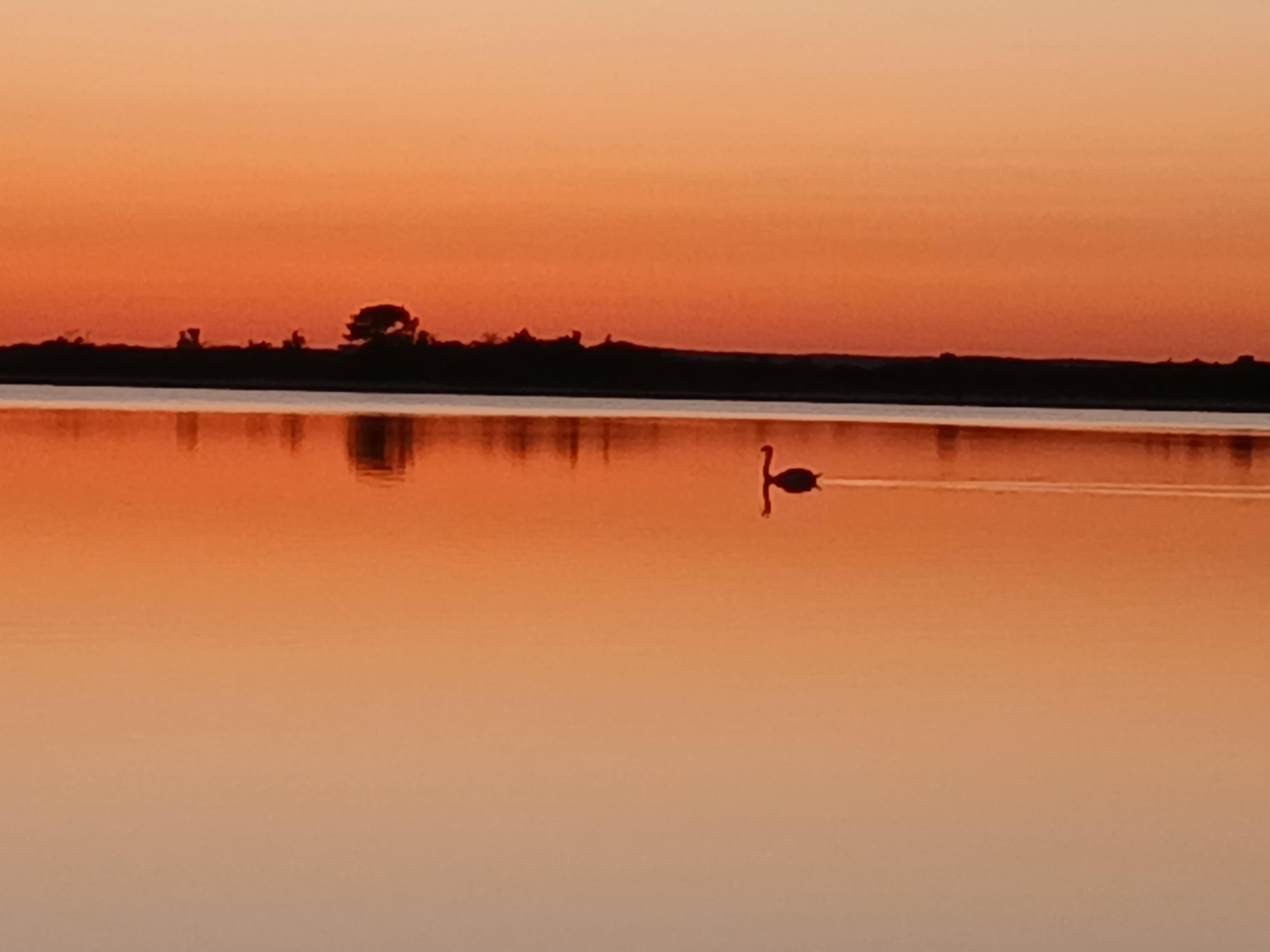 Taken from the beach in front of home.
