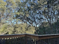 From the back deck in July