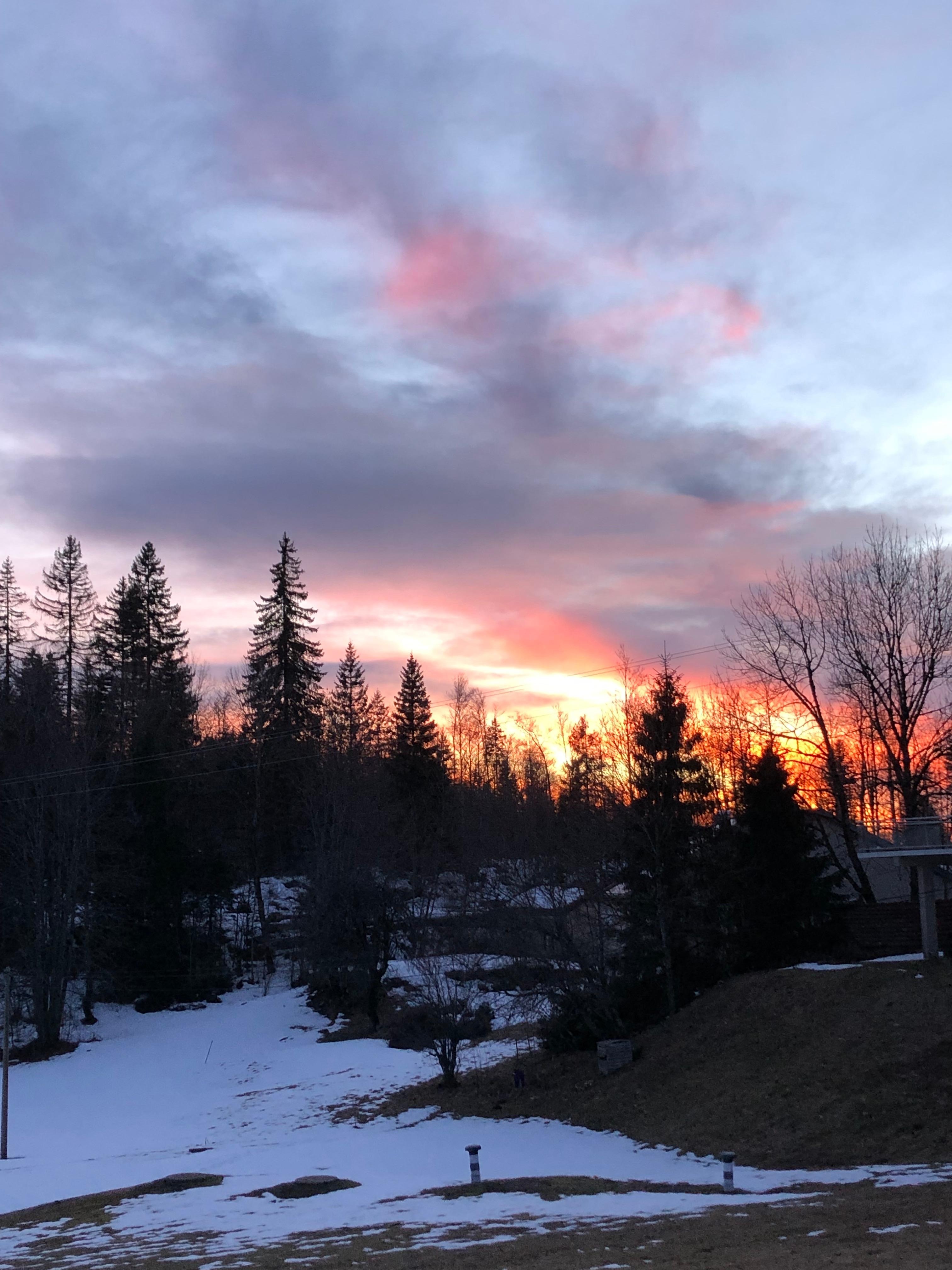 Vue depuis la terrasse 