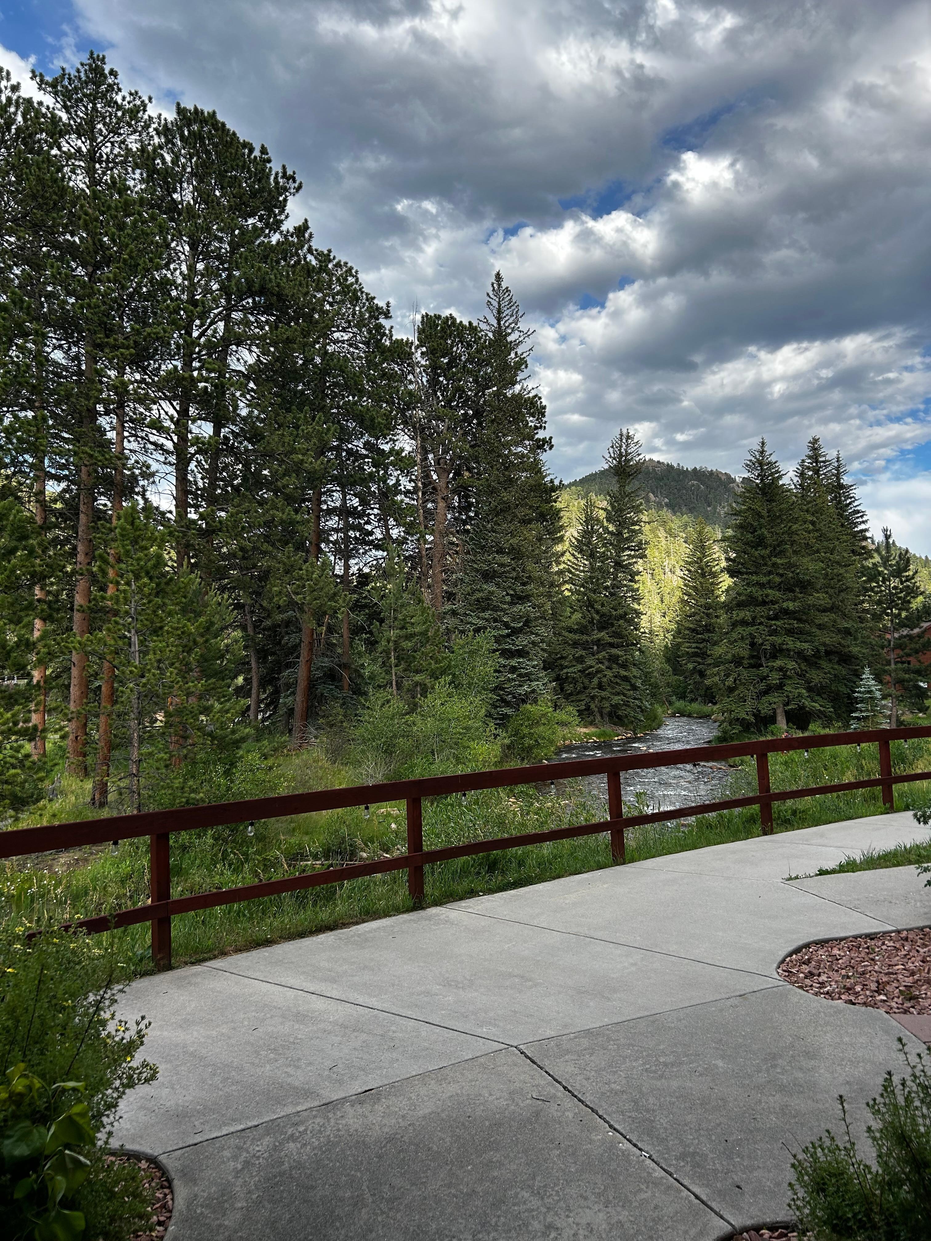 View from back patio 