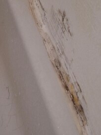 Schimmel am Wasch- und am Duschbecken