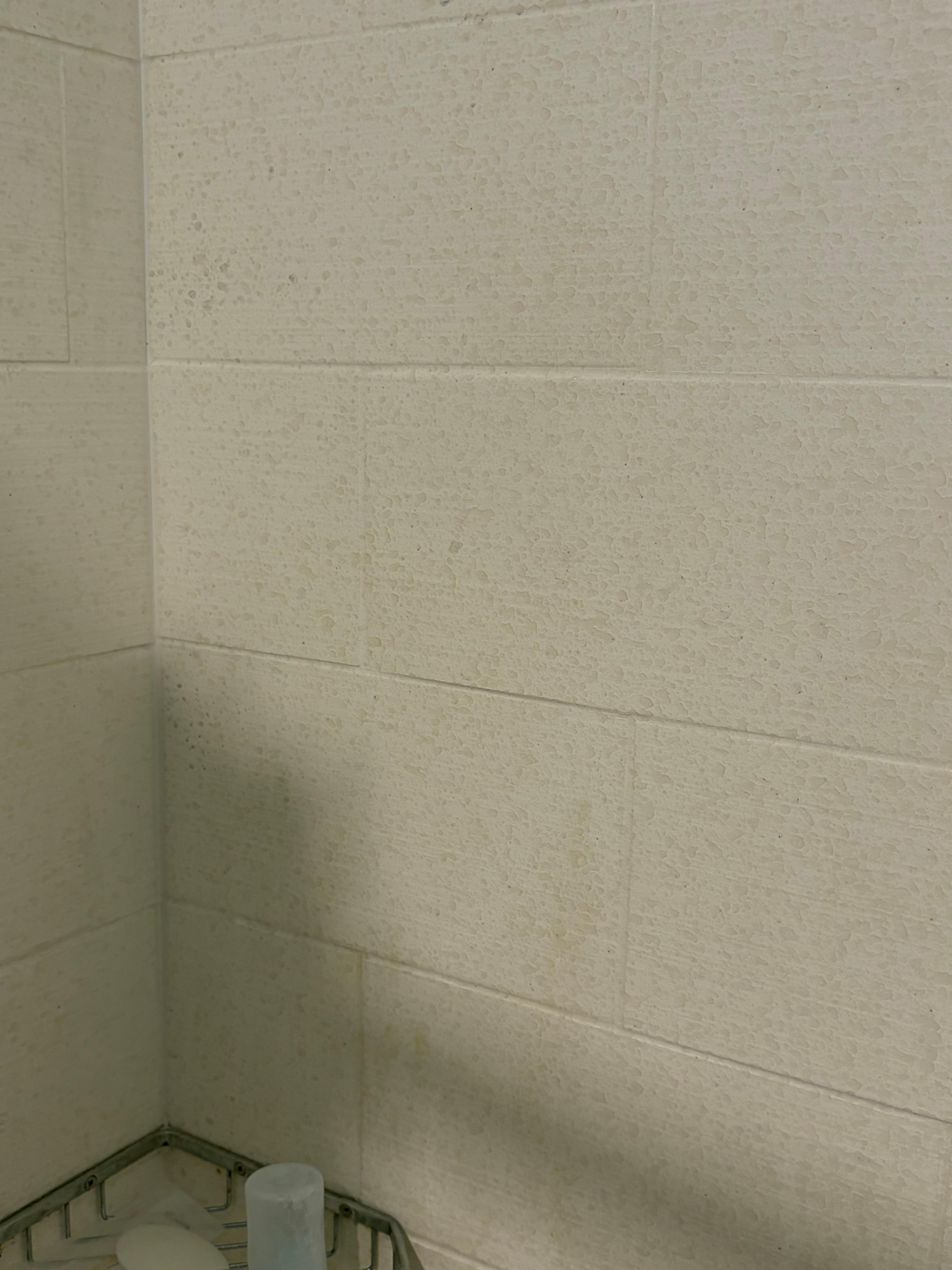 Mold on shower walls