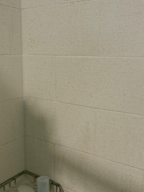 Mold on shower walls