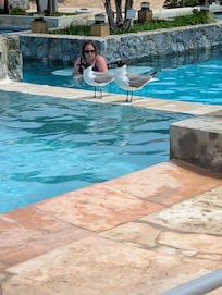 Pool area