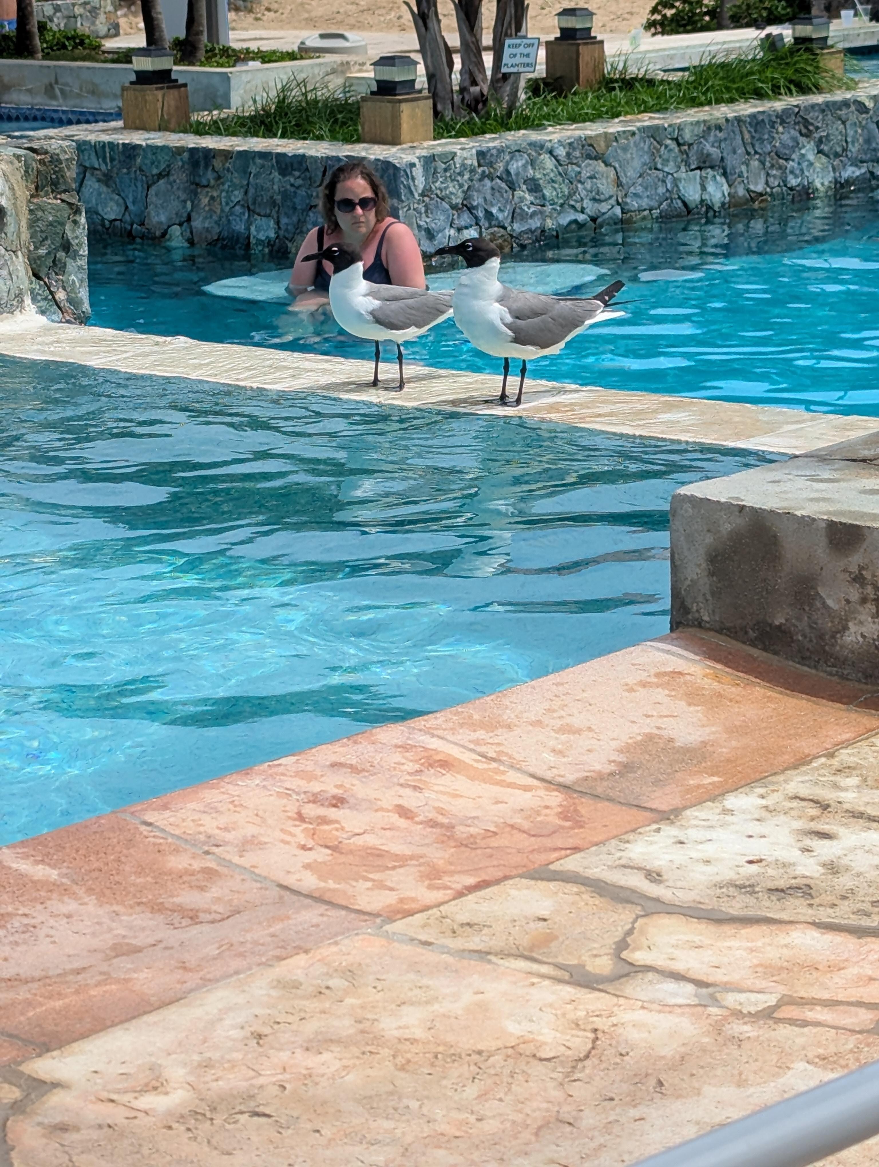Pool area 