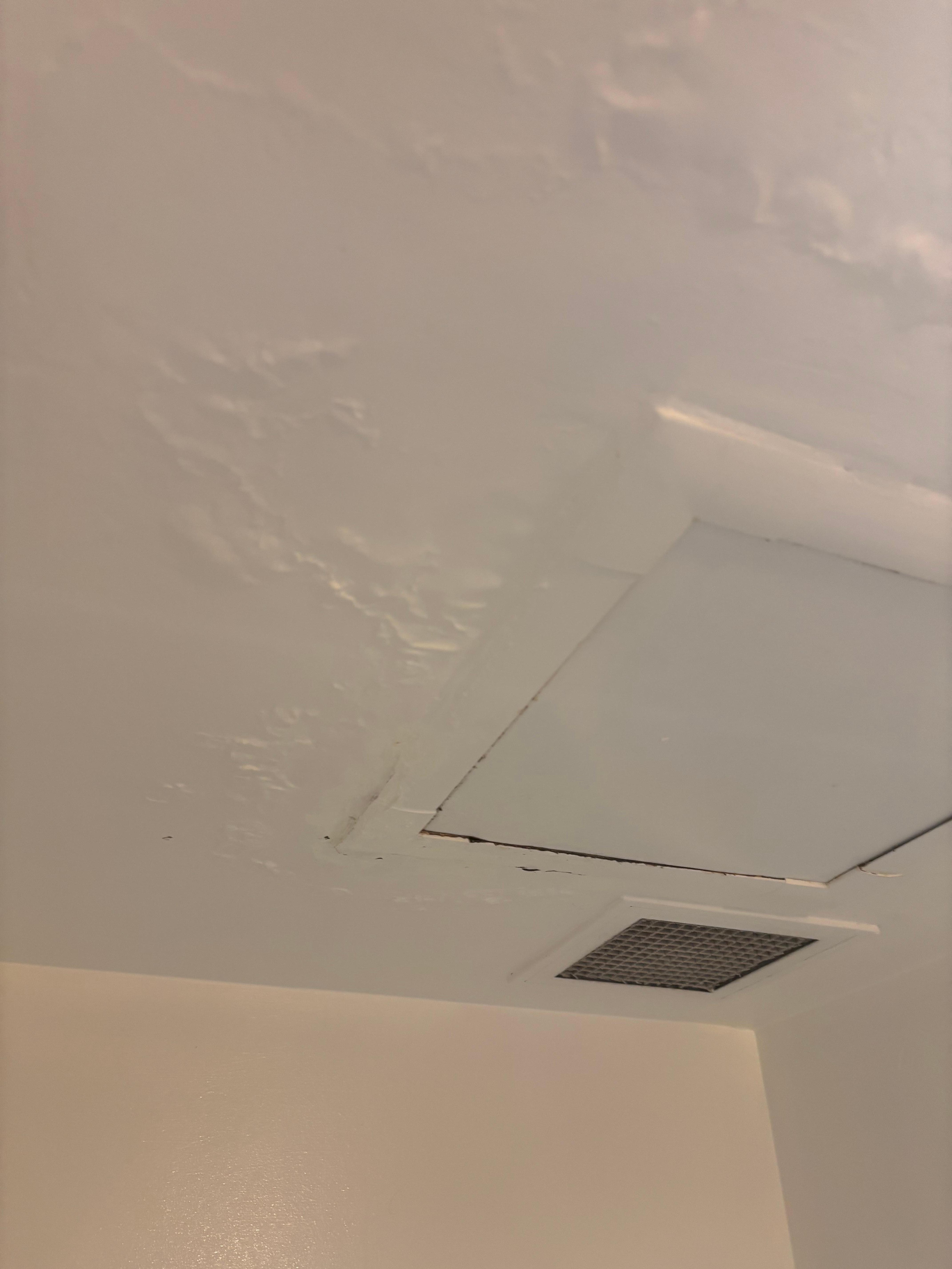 mould or water damaged ceilings