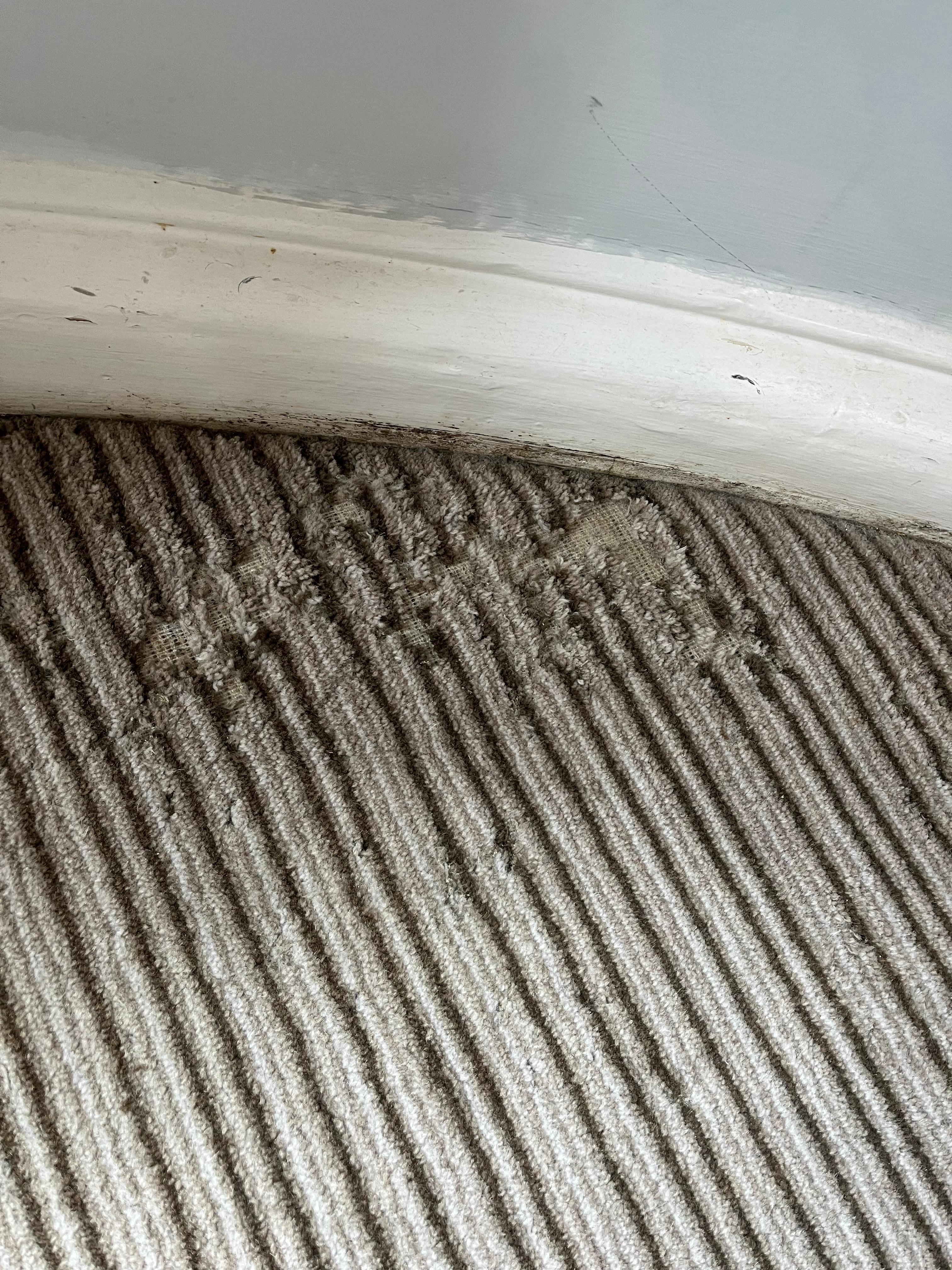 Another area of carpet