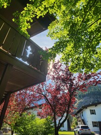 Outside of front door patio