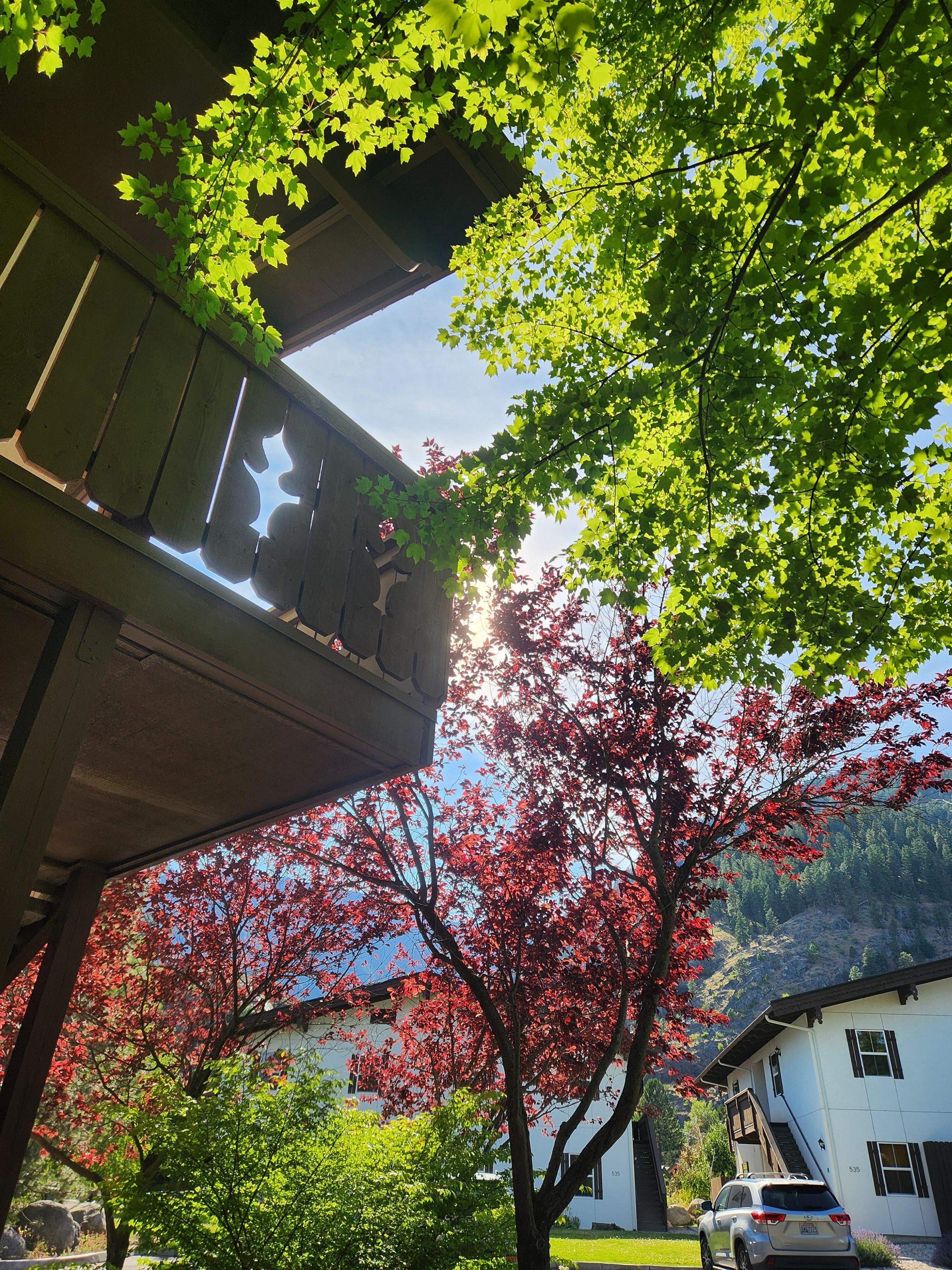 Outside of front door patio