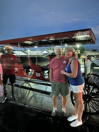 Mule and cart