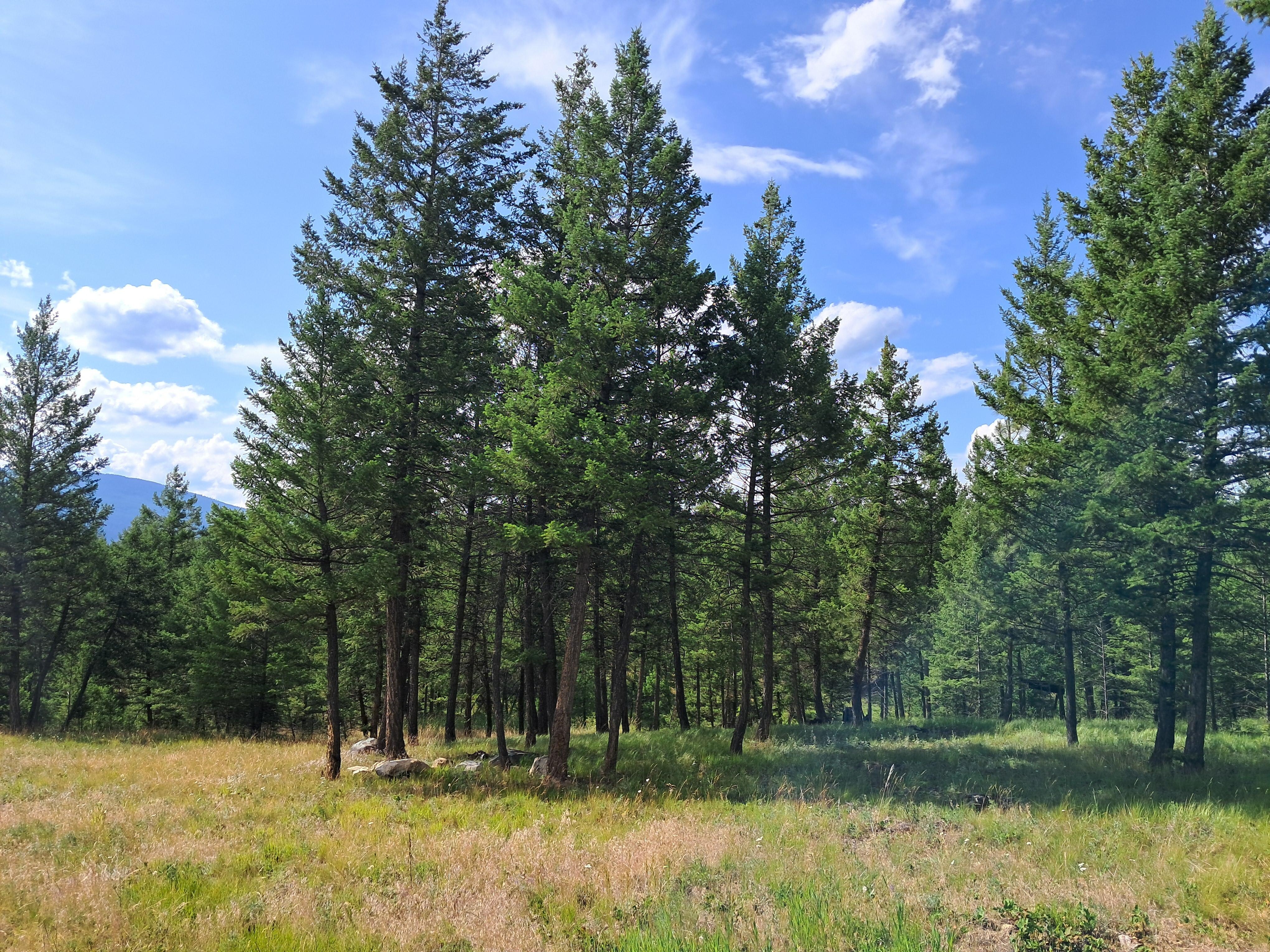 Part of acreage