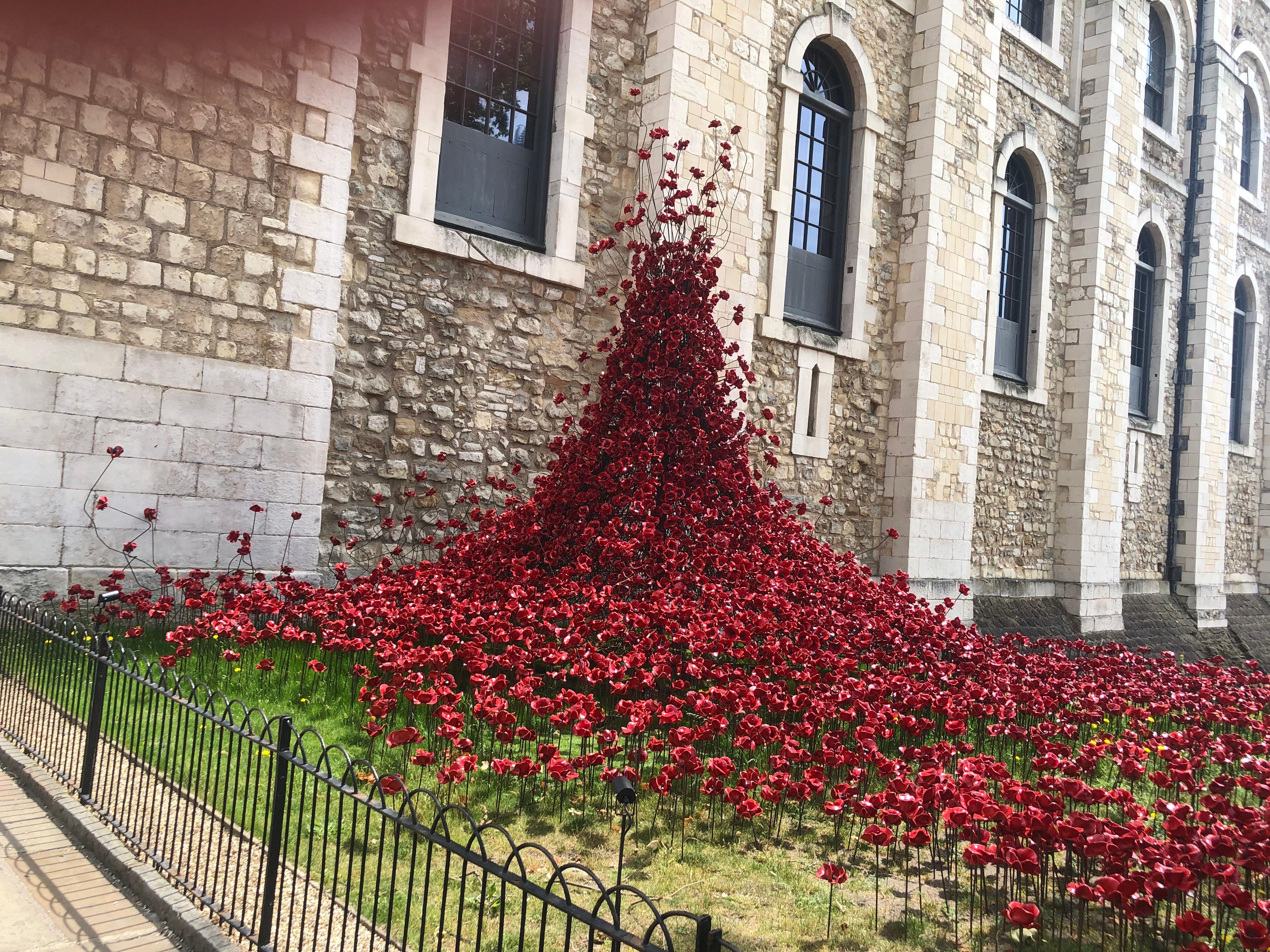 Poppies at The Tower of London 
