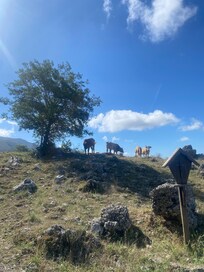Auf dem Weg zum Hausberge Monte Cocuzzo