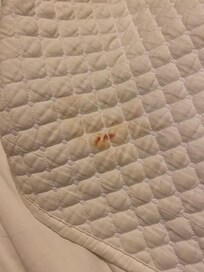 This was by my face had I not seen it.