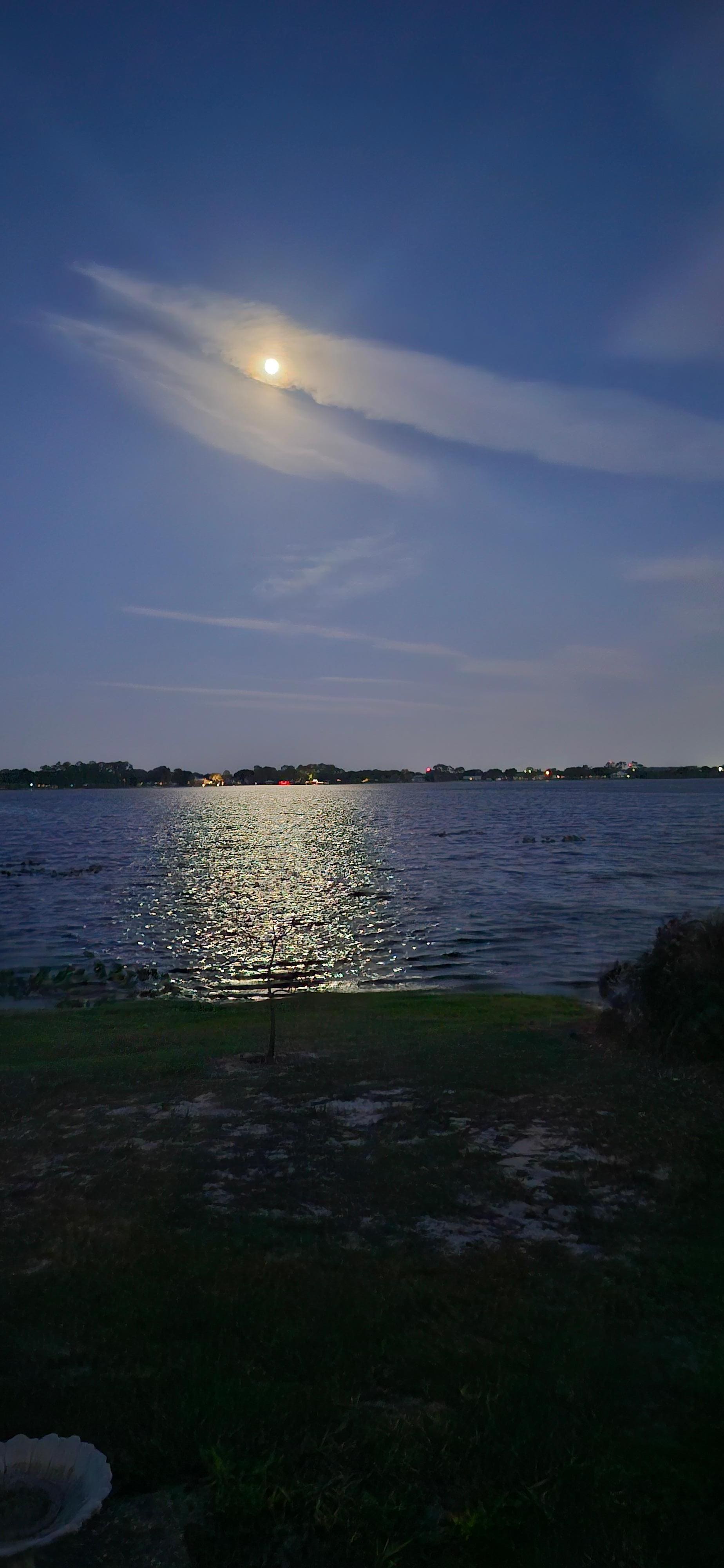 Moonlight on the lake