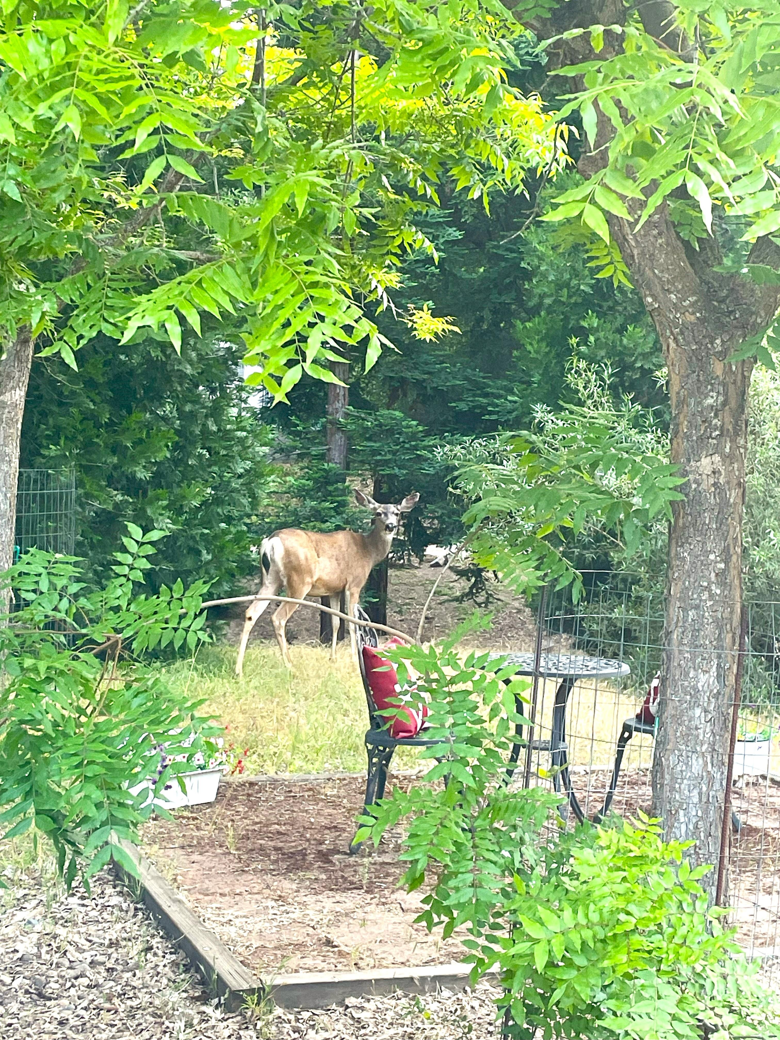 The Welcoming Committee =]