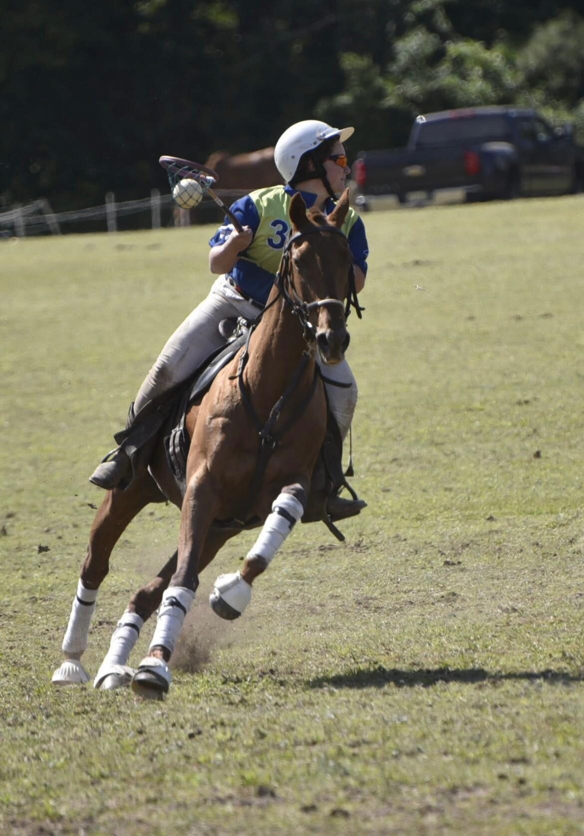 Polocrosse in the Pines Tournament held at Pinehurst Harness Track directly across the street ( 2 mins drive) 