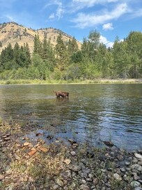 River access right from the property