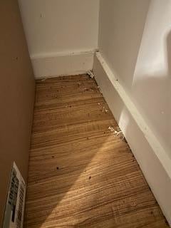 Mouse droppings in closet.