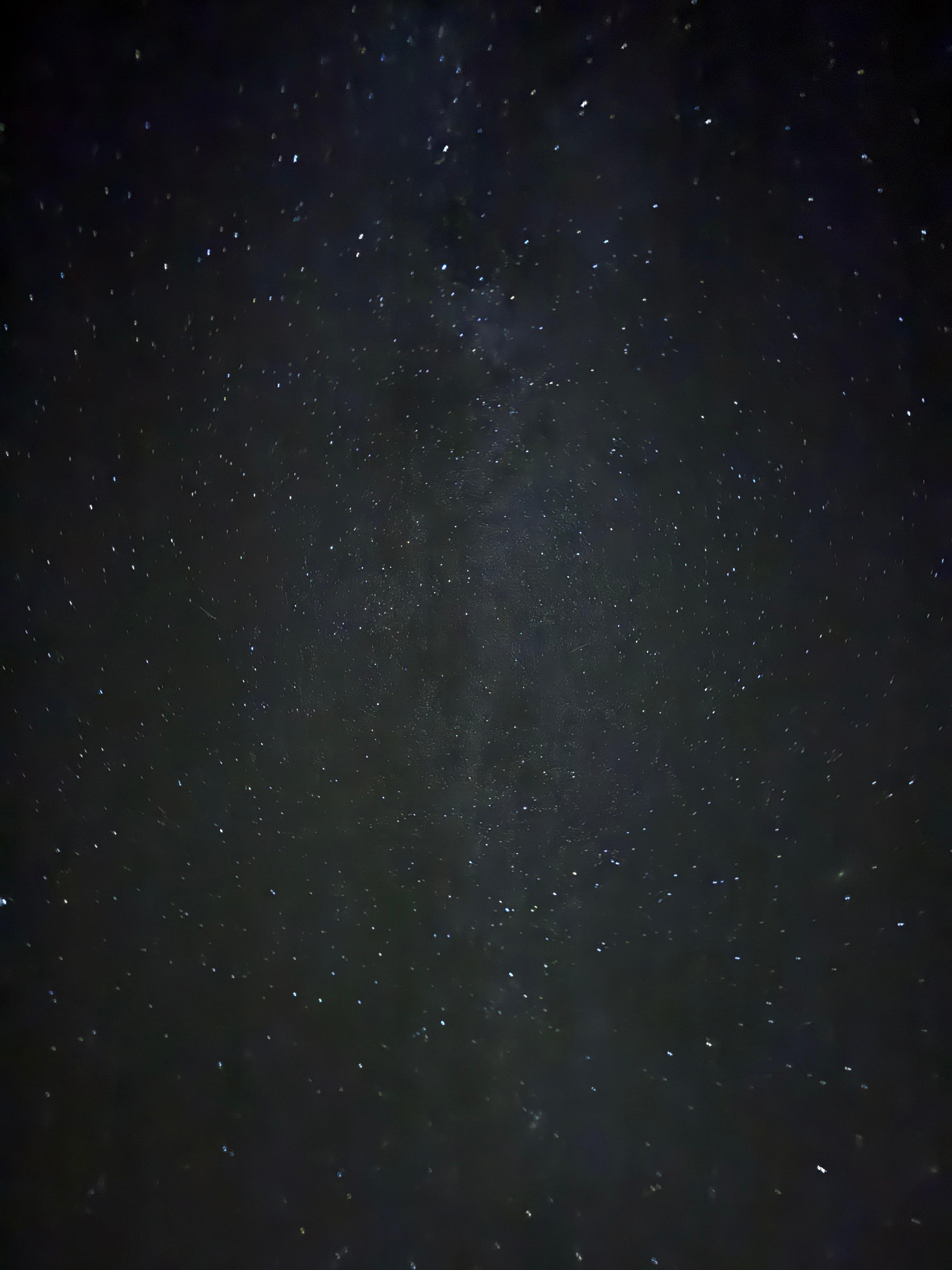 Night sky! So many stars and the Milky Way!! 