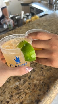 Vodka Sour