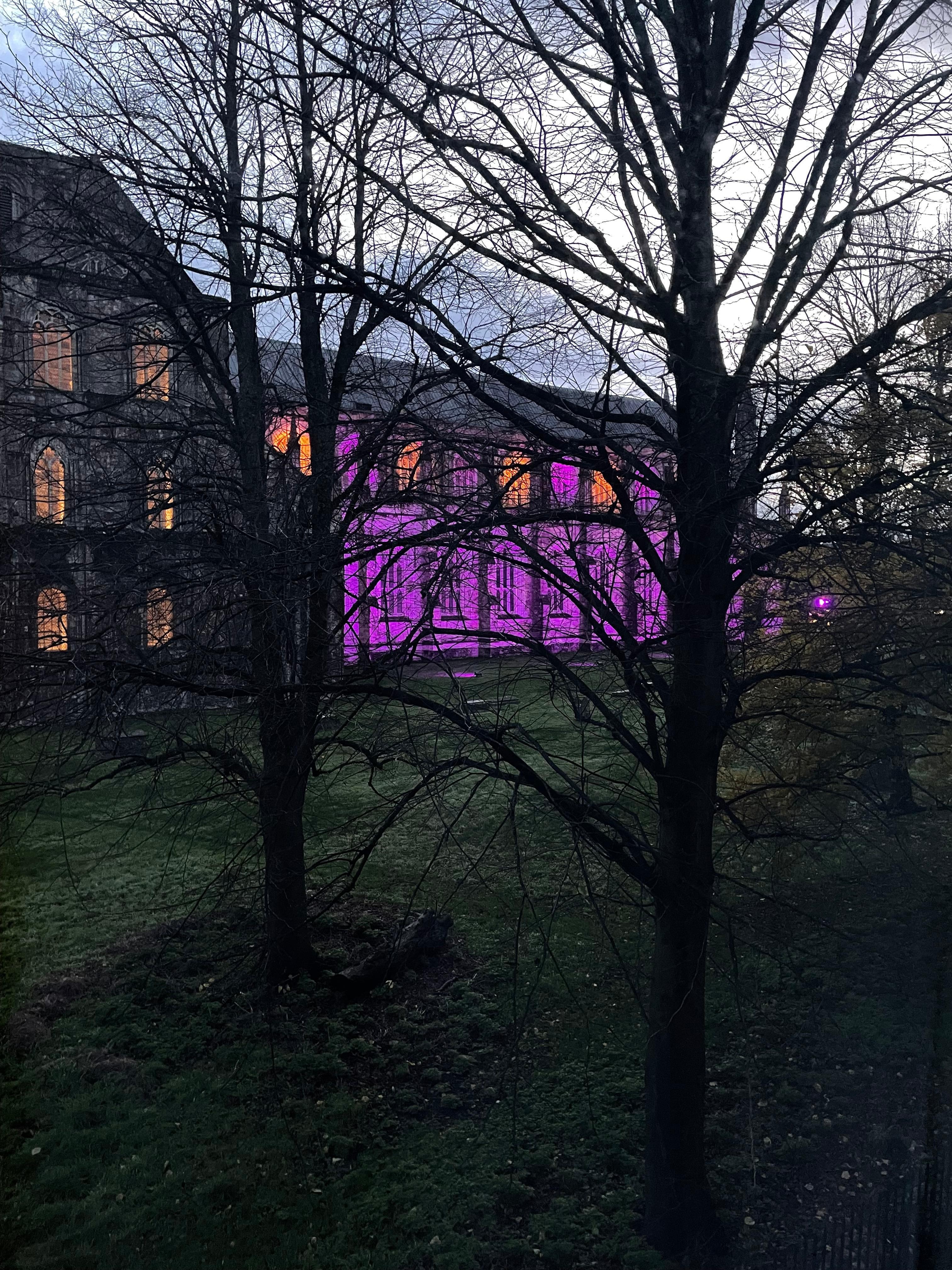 View of the cathedral on arrival 