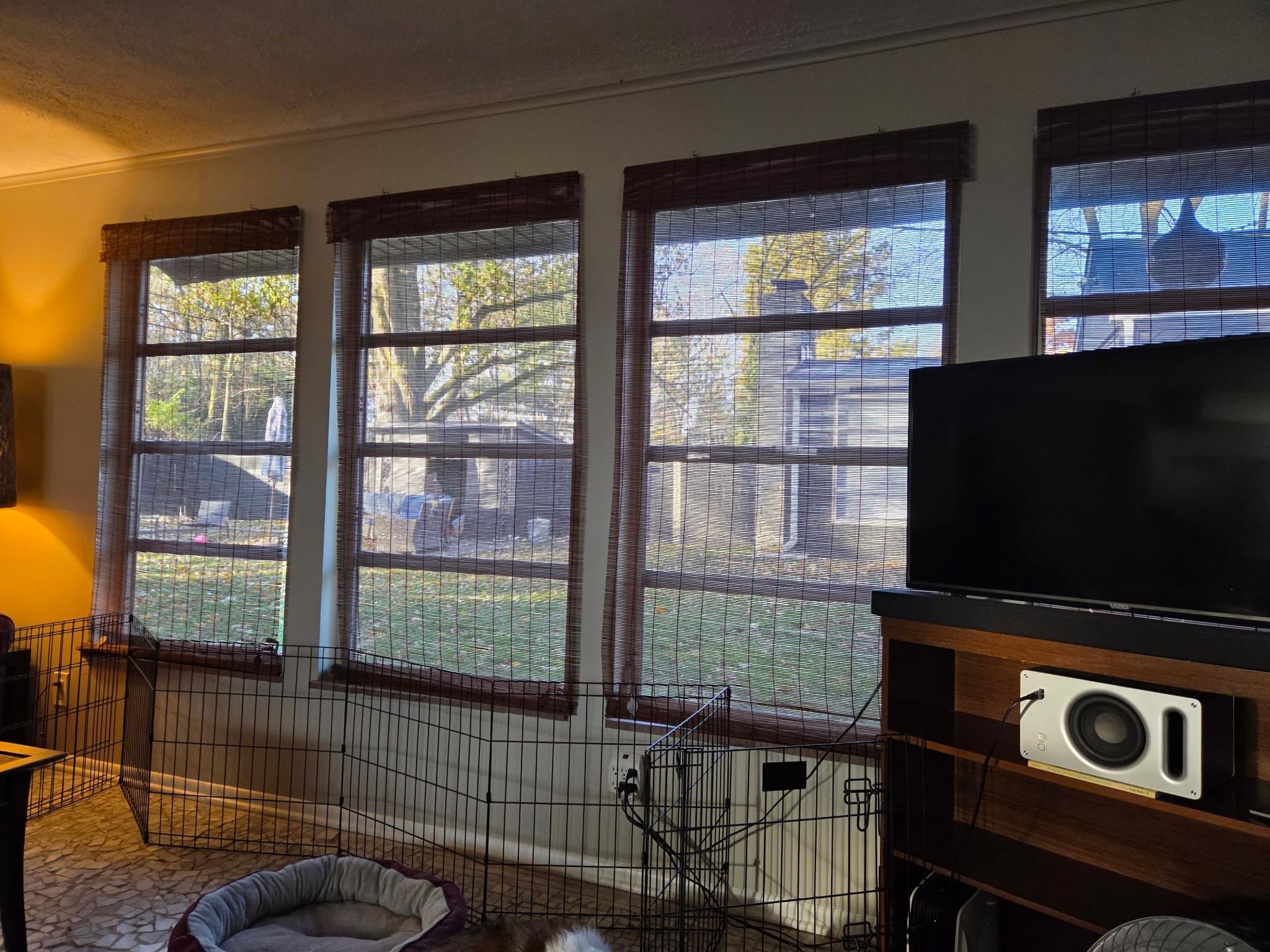 living room windows